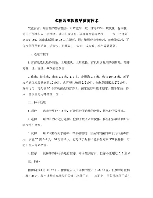 水稻园田软盘旱育苗技术