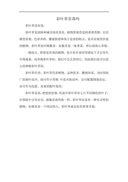 彩叶草有毒吗