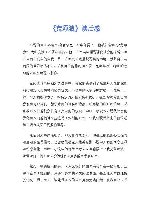 《荒原狼》读后感
