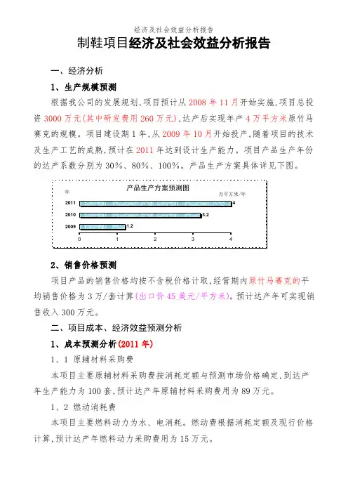 经济及社会效益分析报告