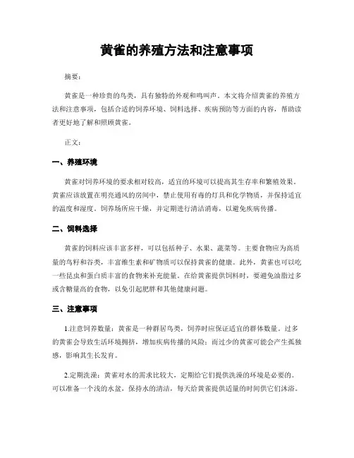 黄雀的养殖方法和注意事项