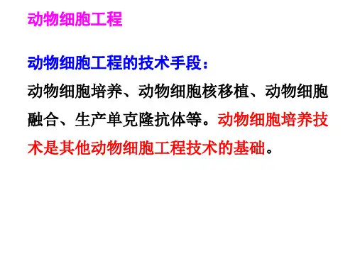 2020高考生物动物细胞工程考点考题分析课件(共36张PPT)