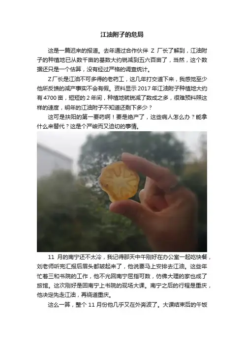 江油附子的危局