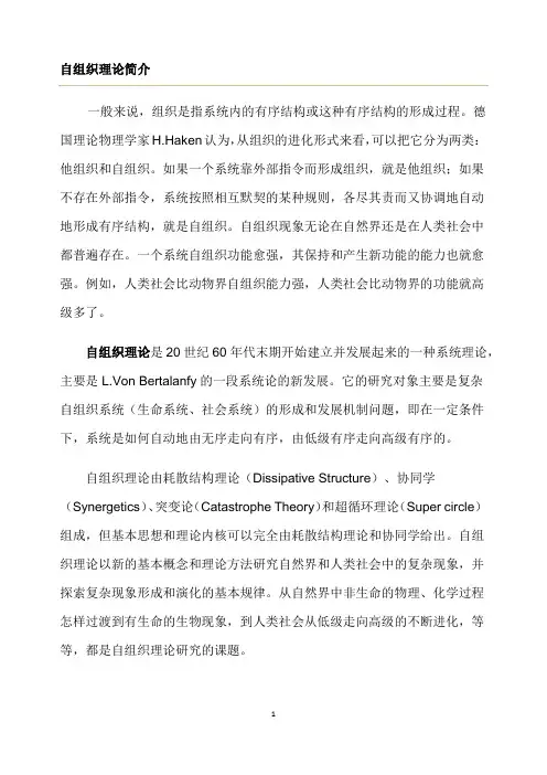 自组织理论简介