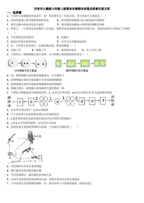 丹东市人教版七年级上册期末生物期末试卷及答案百度文库