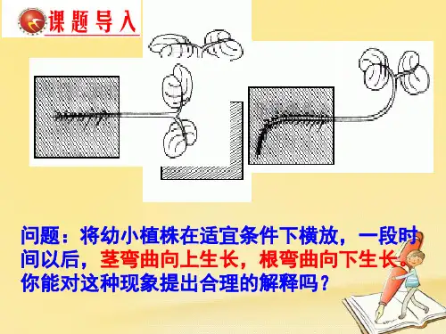 高中生物人教版必修3 生长素的生理作用 课件(25张)