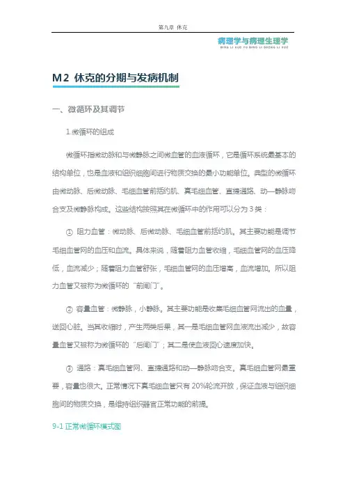 M2休克的分期与发病机制