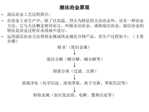 第一章 精矿的湿法分解