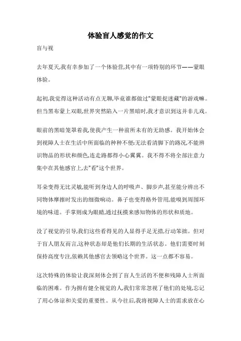 体验盲人感觉的作文