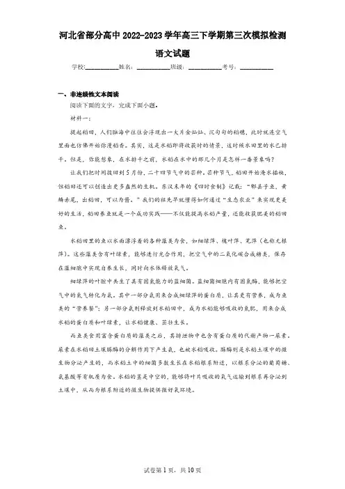 河北省部分高中2022-2023学年高三下学期第三次模拟检测语文试题(含解析)
