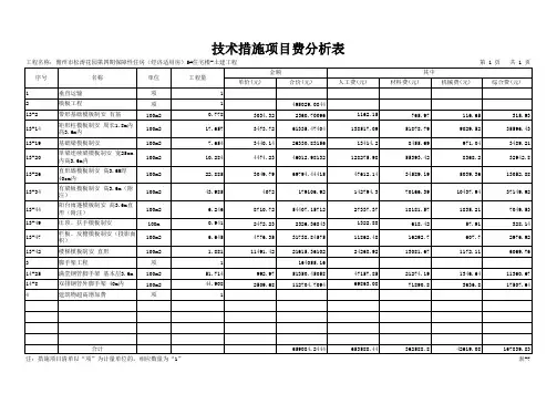 表-7 技术措施项目费用分析表111