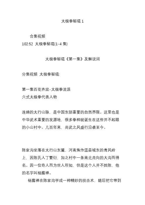 太极拳秘境1