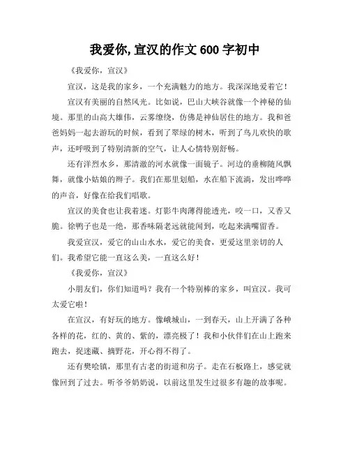 我爱你,宣汉的作文600字初中