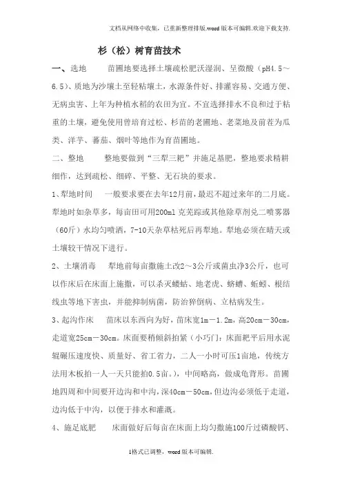 杉(松)树育苗技术
