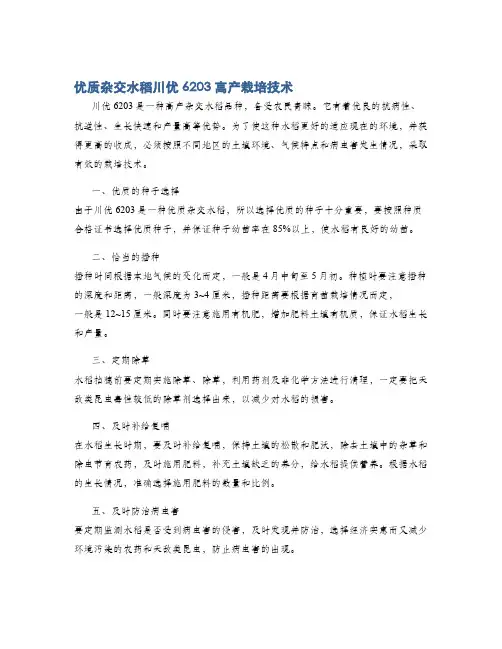 优质杂交水稻川优6203高产栽培技术