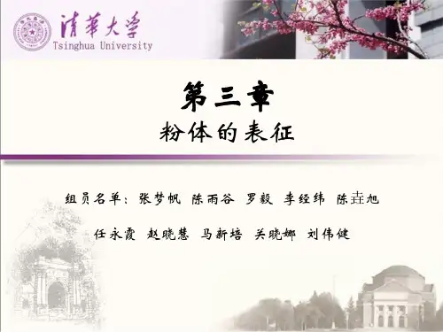 粉体的表征ppt课件