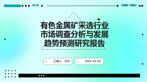 有色金属矿采选行业市场调查分析与发展趋势预测研究报告
