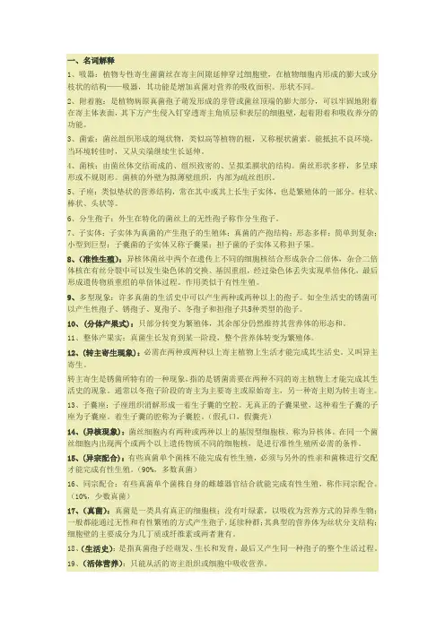 真菌复习1