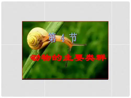 八年级生物下册 22.4 动物的主要类群课件 北师大版
