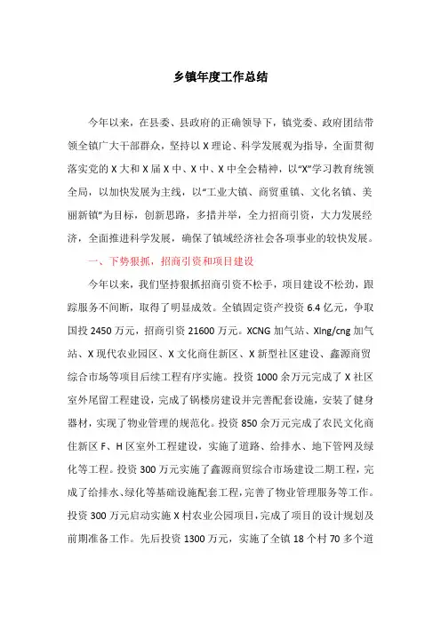 乡镇年度工作总结