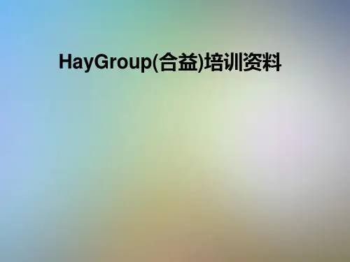 HayGroup(合益)培训资料.PPT
