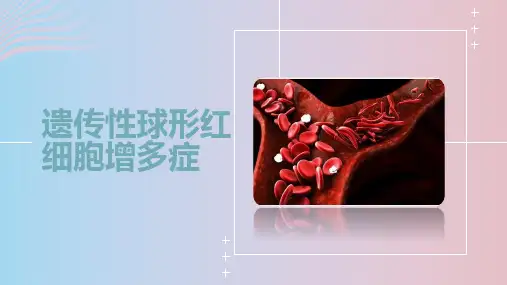 遗传性球形红细胞增多症