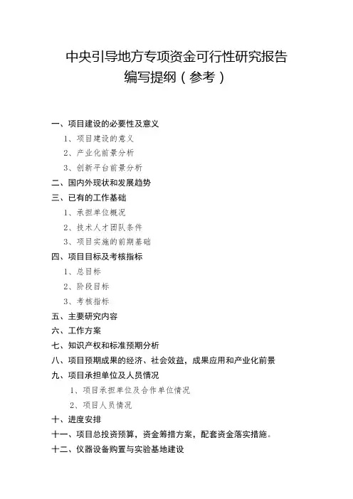 中央引导地方专项资金可行性研究报告