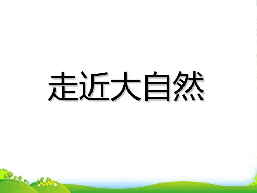 人教版一年级美术：《走近大自然》课件2