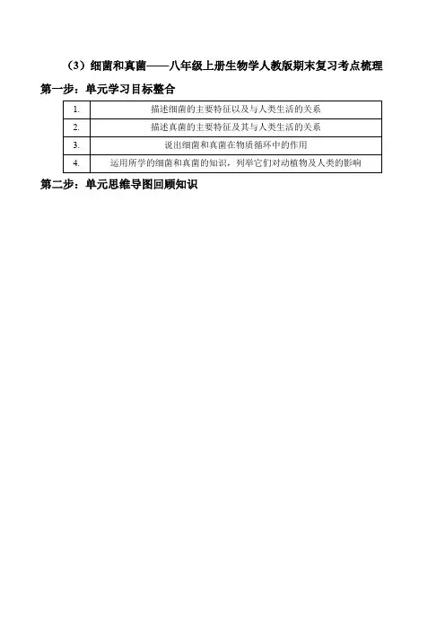 2024-2025学年人教版生物八年级上册期末复习考点梳理-(4)细菌和真菌