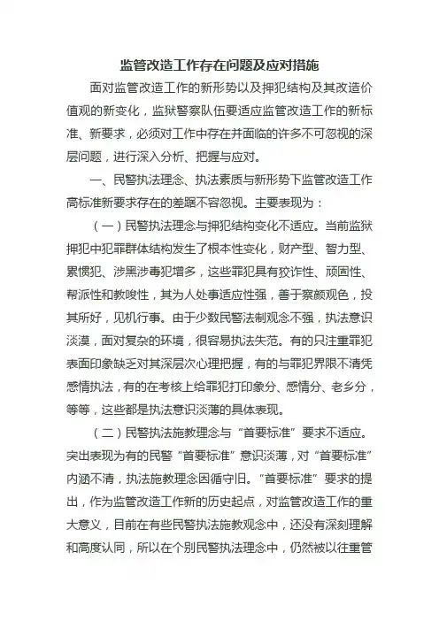 监管改造工作存在问题及应对措施
