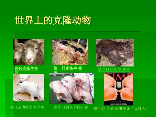克隆人的利与弊.ppt