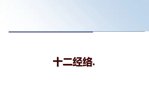最新十二经络.PPT课件