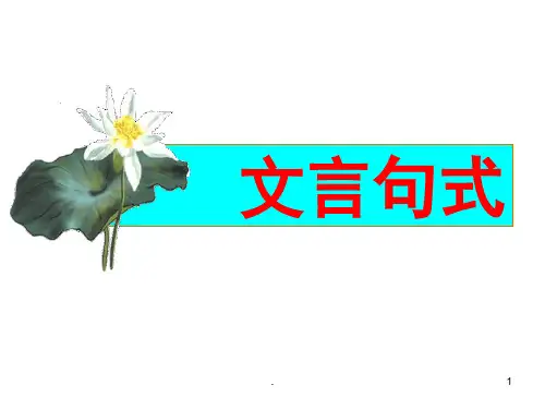 高中文言文特殊句式 (课堂PPT)