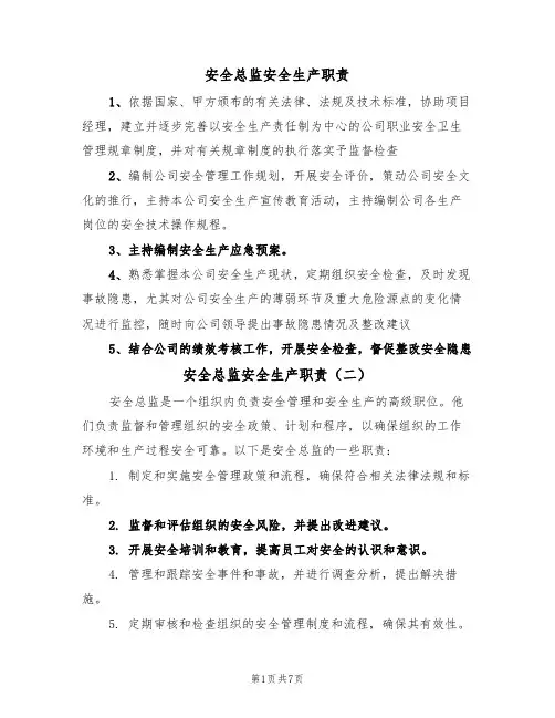 安全总监安全生产职责（五篇）