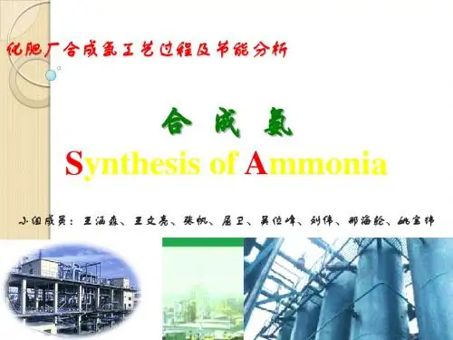 合成氨工艺及节能分析