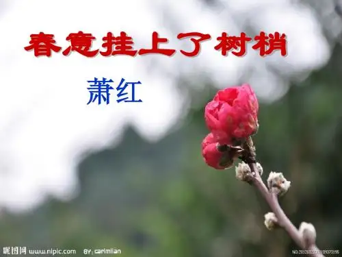 春意挂上了树梢_(课件)
