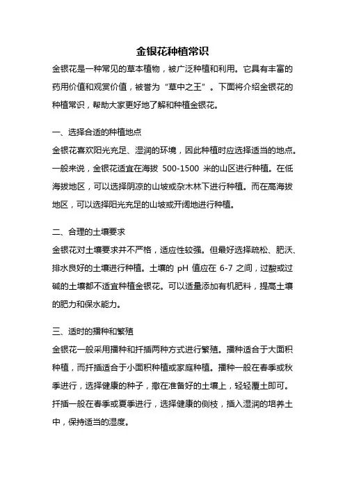 金银花种植常识