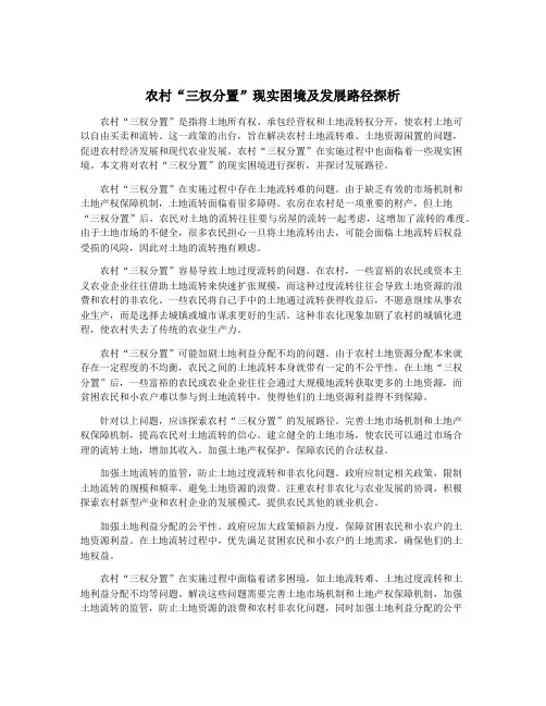 农村“三权分置”现实困境及发展路径探析