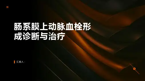 肠系膜上动脉血栓形成诊断与治疗PPT