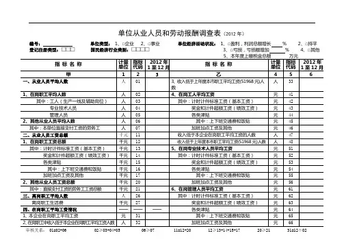 单位从业人员和劳动报酬调查表(2012年)