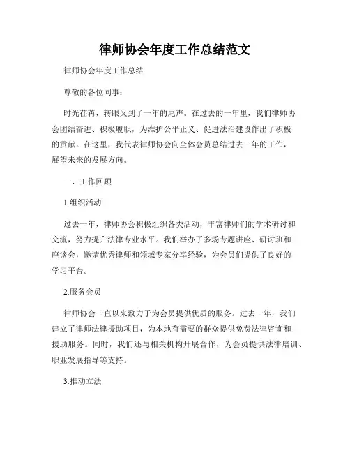 律师协会年度工作总结范文