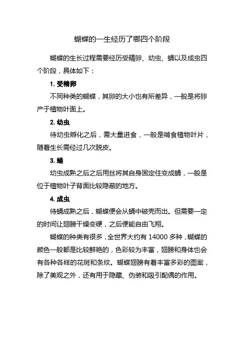 蝴蝶的一生经历了哪四个阶段
