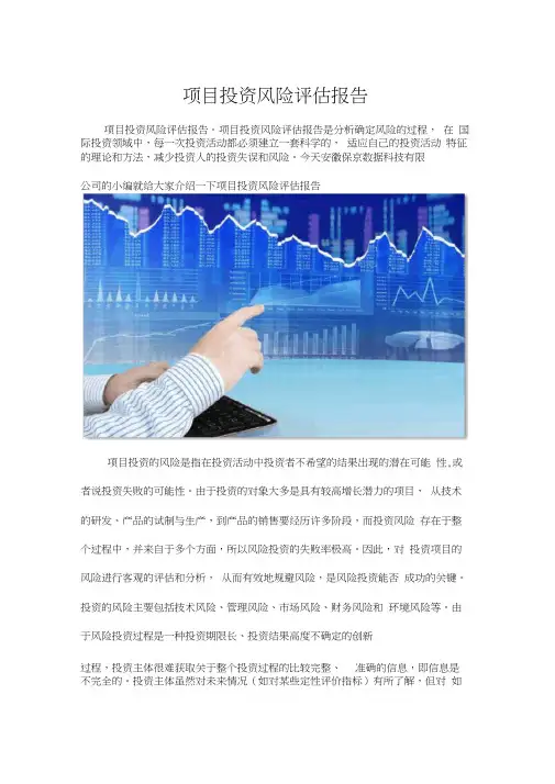项目投资风险评估报告