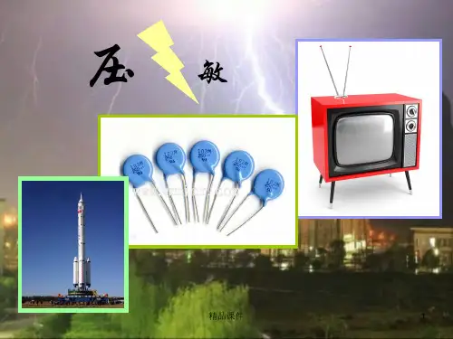 压敏陶瓷简介ppt课件