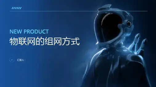 物联网的组网方式