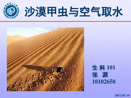 沙漠甲虫与空气取水
