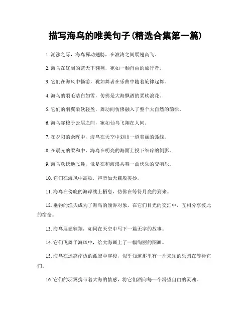 描写海鸟的唯美句子(精选合集两篇)