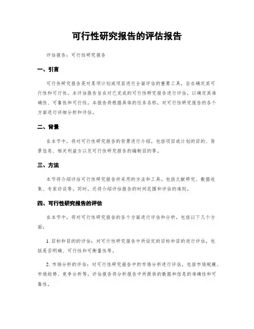 可行性研究报告的评估报告