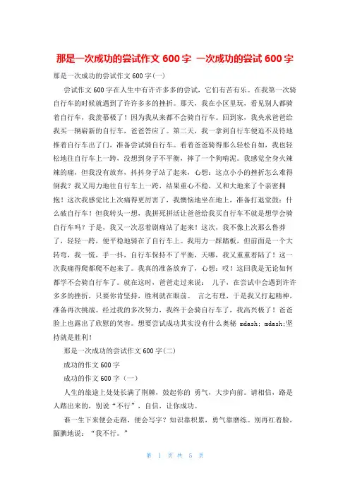 那是一次成功的尝试作文600字 一次成功的尝试600字