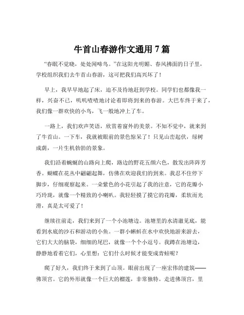 牛首山春游作文通用7篇